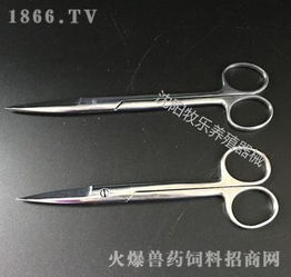 不銹鋼醫(yī)用剪與寵物器械 專業(yè)手術(shù)剪的全方位解析與批發(fā)指南