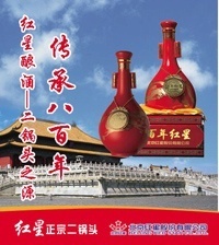 百年紅星38度500ML批發采購指南 老字號清香白酒的渠道選擇與市場優勢